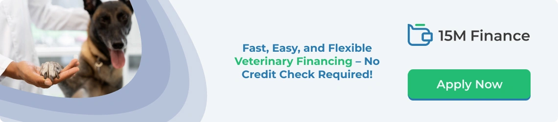 Get veterinary financing with no credit check